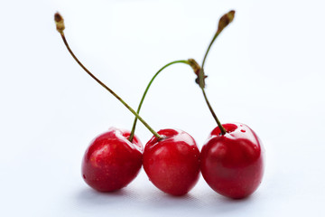 Sweet cherry