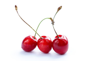 Sweet cherry