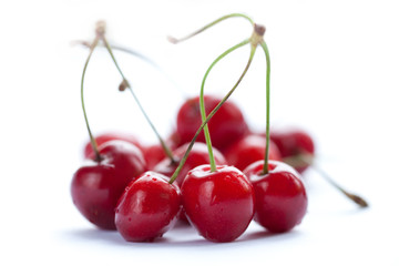Sweet cherry