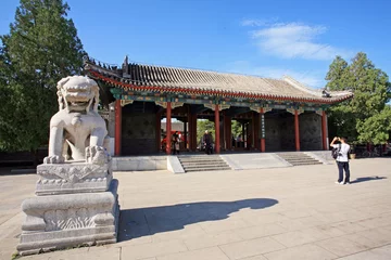 Foto op Plexiglas stone lion before yuanmingyuan in beijing © zhu difeng