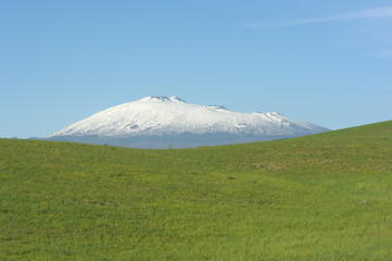 Fototapeta premium Green Grass And Mount Etna