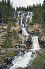 Tangle Falls