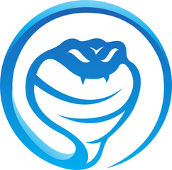 Glossy blue snake isolated on white