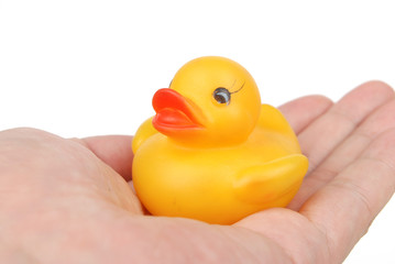 rubber duck