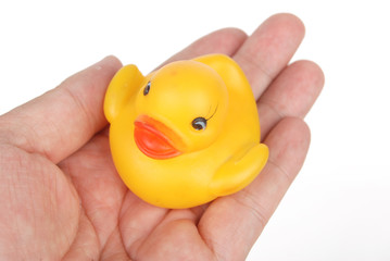 rubber duck