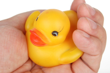 rubber duck