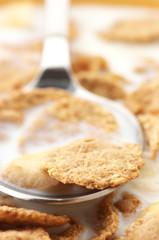 Breakfast cereal with milk close-up