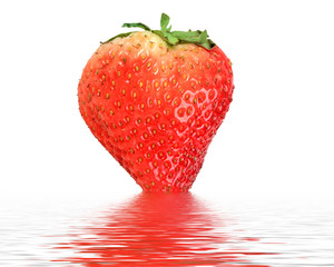 One red strawberry in water