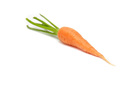 Fresh Carrots