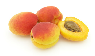 Apricot
