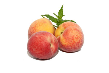 pêche