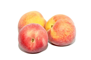 pêche