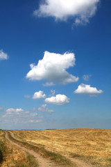 Fototapeta na wymiar Stoppelfeld mit blauem Himmel und Wolken