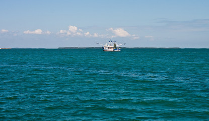 Shrimp Boat on Azure Sea