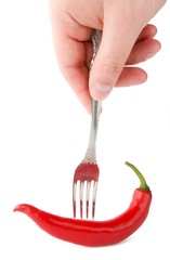 chili peper in fork with hand