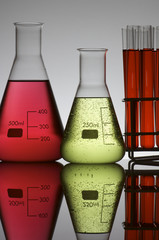 lab