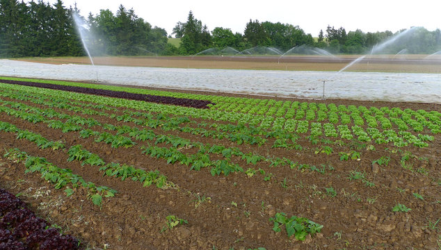 Sprenkelanlage Bilder Durchsuchen 64 Archivfotos, und