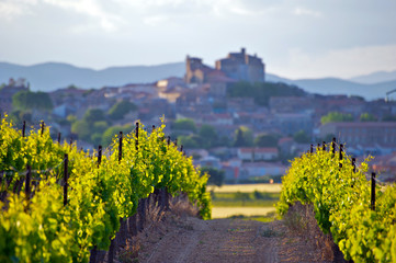 The Chateau of Puissalicon in the Languedoc - obrazy, fototapety, plakaty