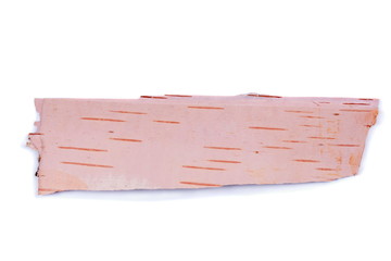 Birch bark