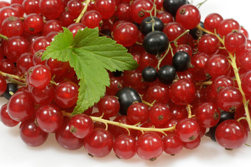 Johannisbeeren