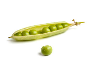 Green peas pods