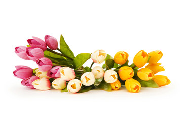 Colourful tulips isolated on the white background