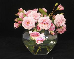 Kleine, hellrosa Rosen in Vase vor schwarzem Hintergrund