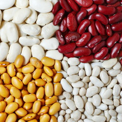 Four types of beans