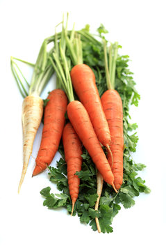 Fresh organic carrots on a white background