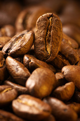 Coffee bean close-up