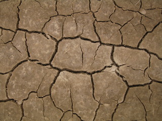 dryland2
