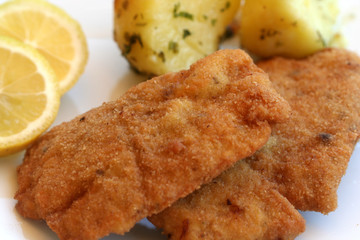 schnitzel
