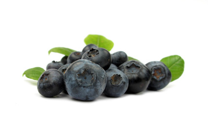 Blueberry with green leaves