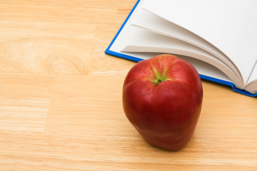 School Work