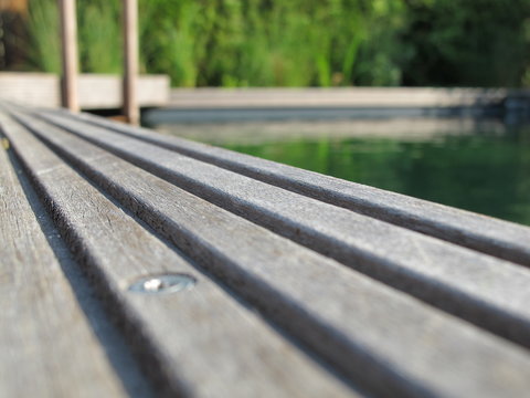 Schwimmteich unseres Reihenhauses