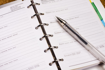 pen on schedule book