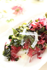 Healthy eating, seaweed salad