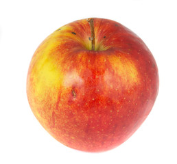 red apple on white background