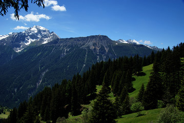Alpenpanorama