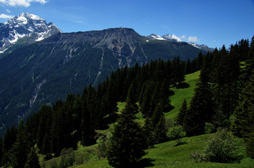 Alpenpanorama