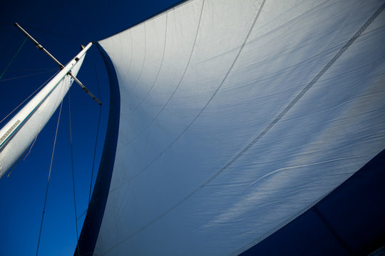 Fototapeta White sails