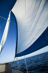 White sails