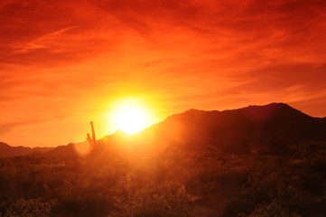 Obraz premium Arizona Sunset