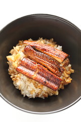 Japanese cuisine, grilled eel on rice