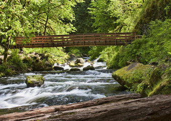 Ainsworth Hiking Trail in Oregon, USA.