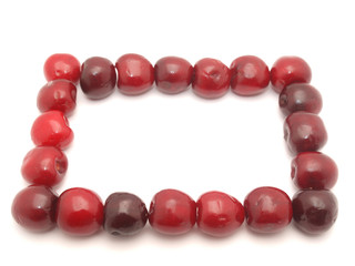 Framework from a cherry