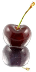 cerise rouge, fond blanc