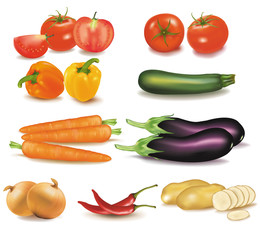 The big colorful group of vegetables. Photo-realistic vector.