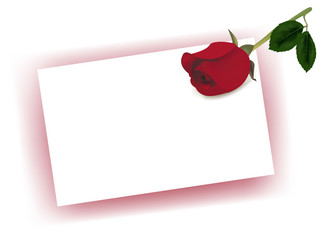 Photo-realistic vector illustration. Rose on the paper.