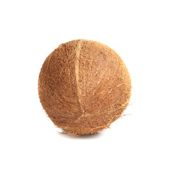 Isolated coconut